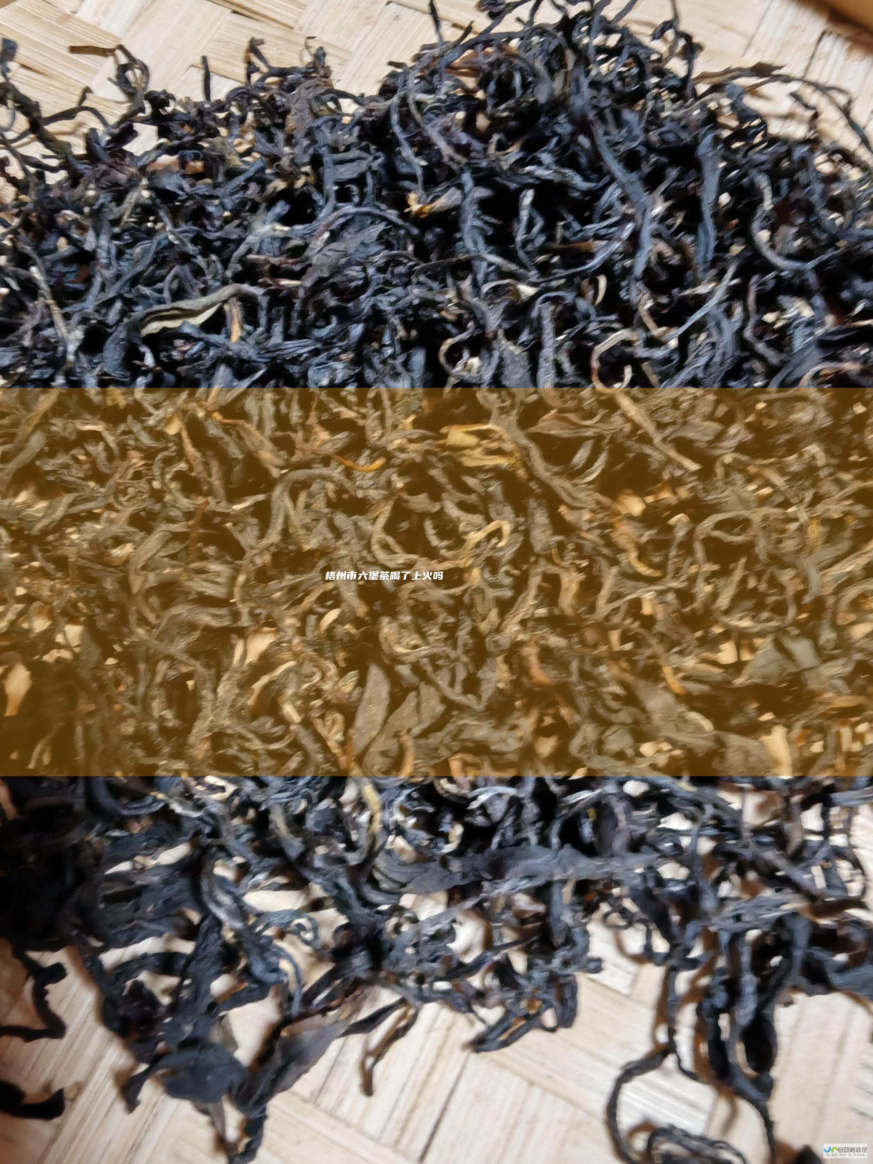 梧州市六堡茶喝了上火吗