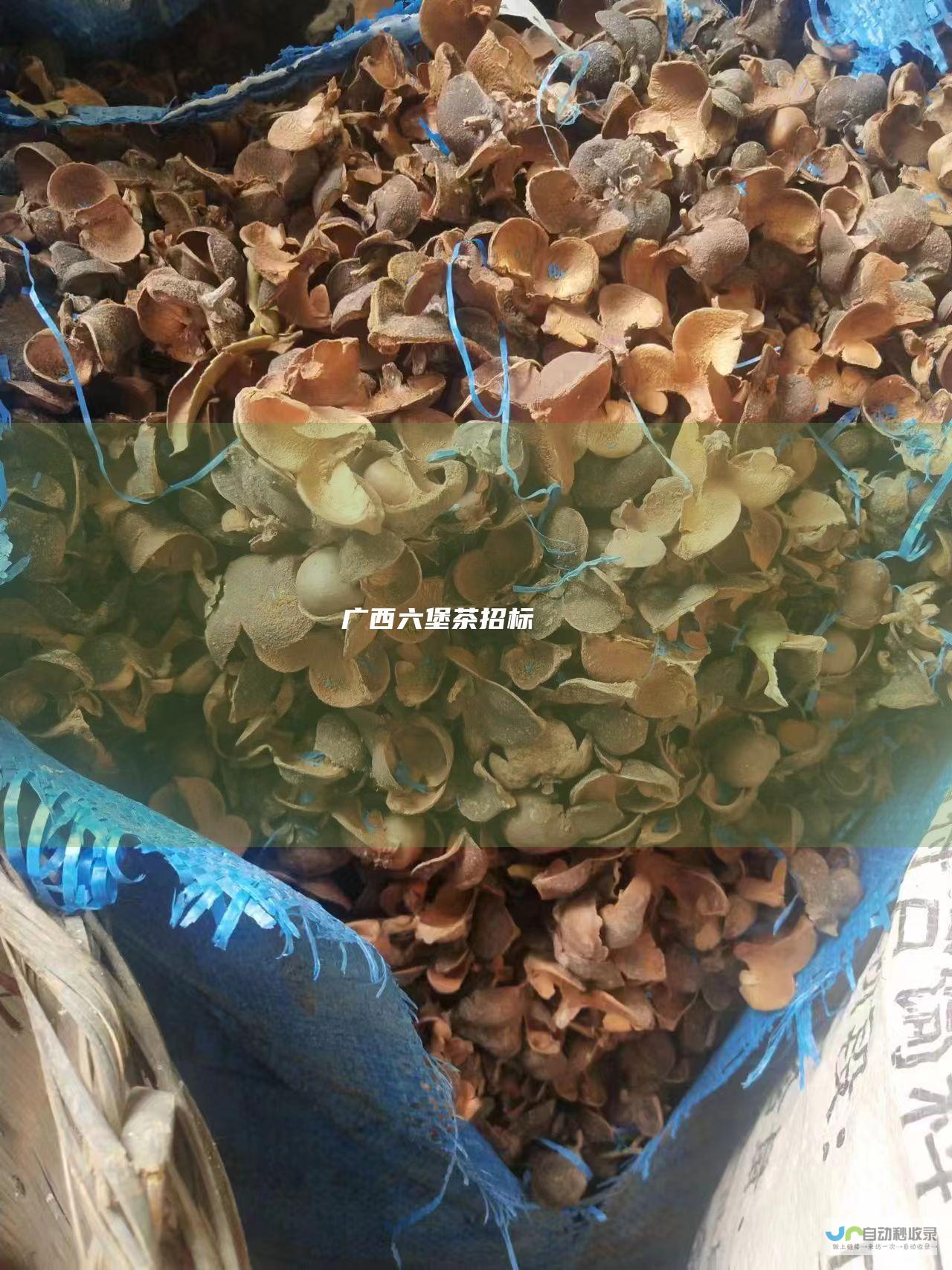 广西六堡茶招标