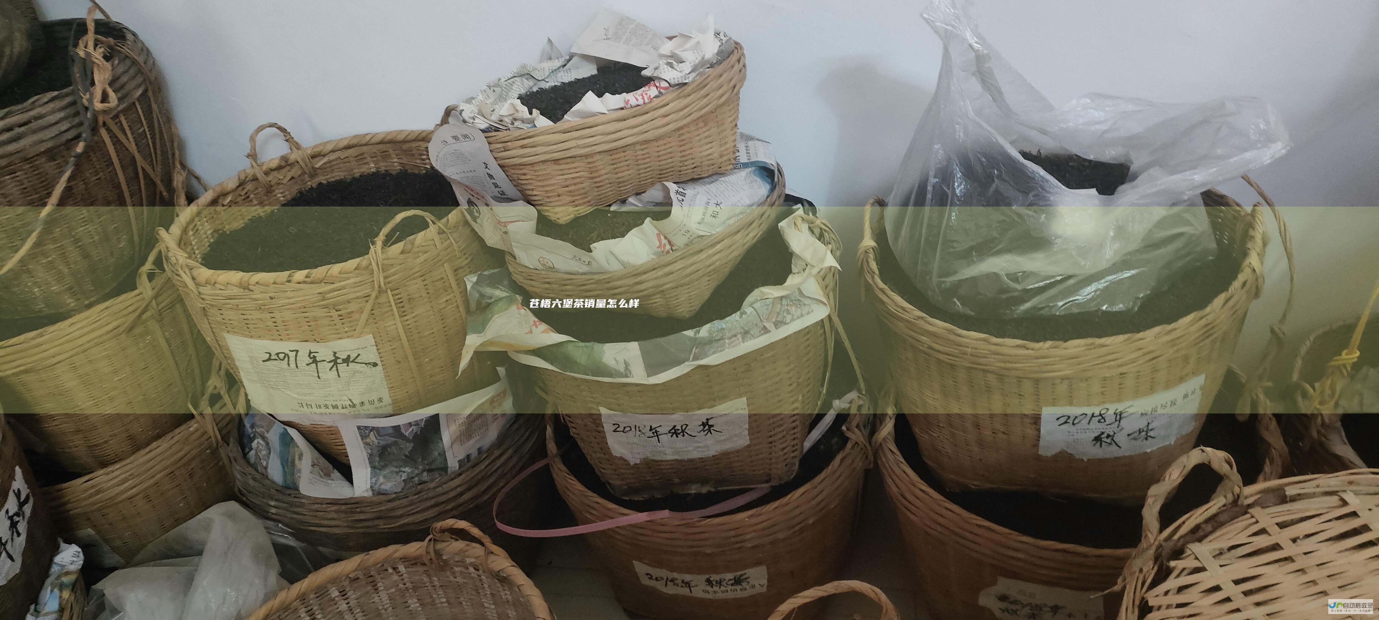 苍梧六堡茶销量怎么样