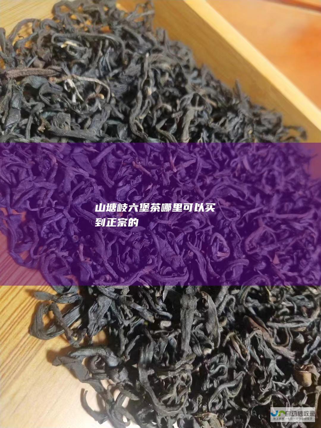 山塘岐六堡茶哪里可以买到正宗的