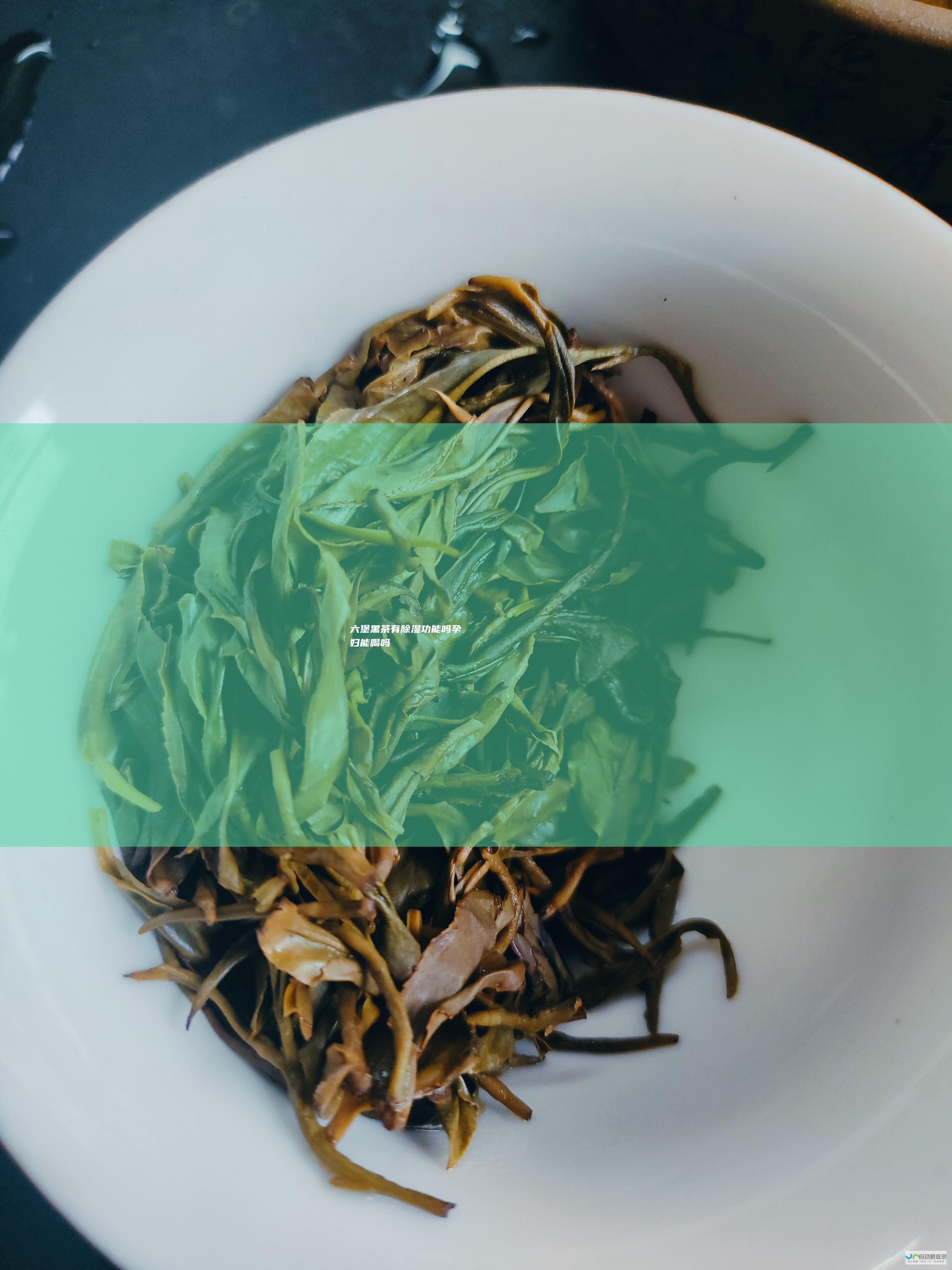 六堡黑茶有除湿功能吗孕妇能喝吗