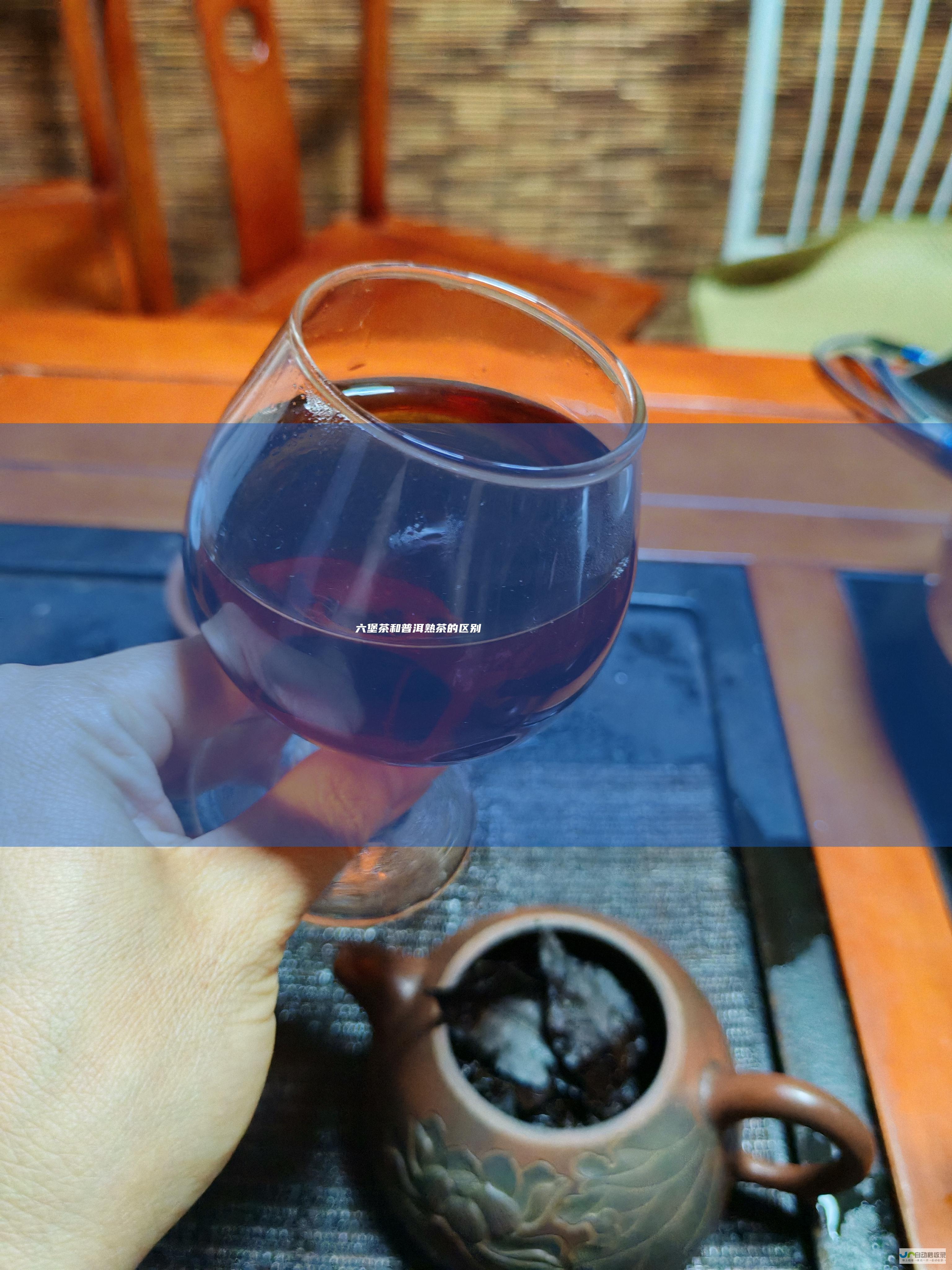 六堡茶和普洱熟茶的区别