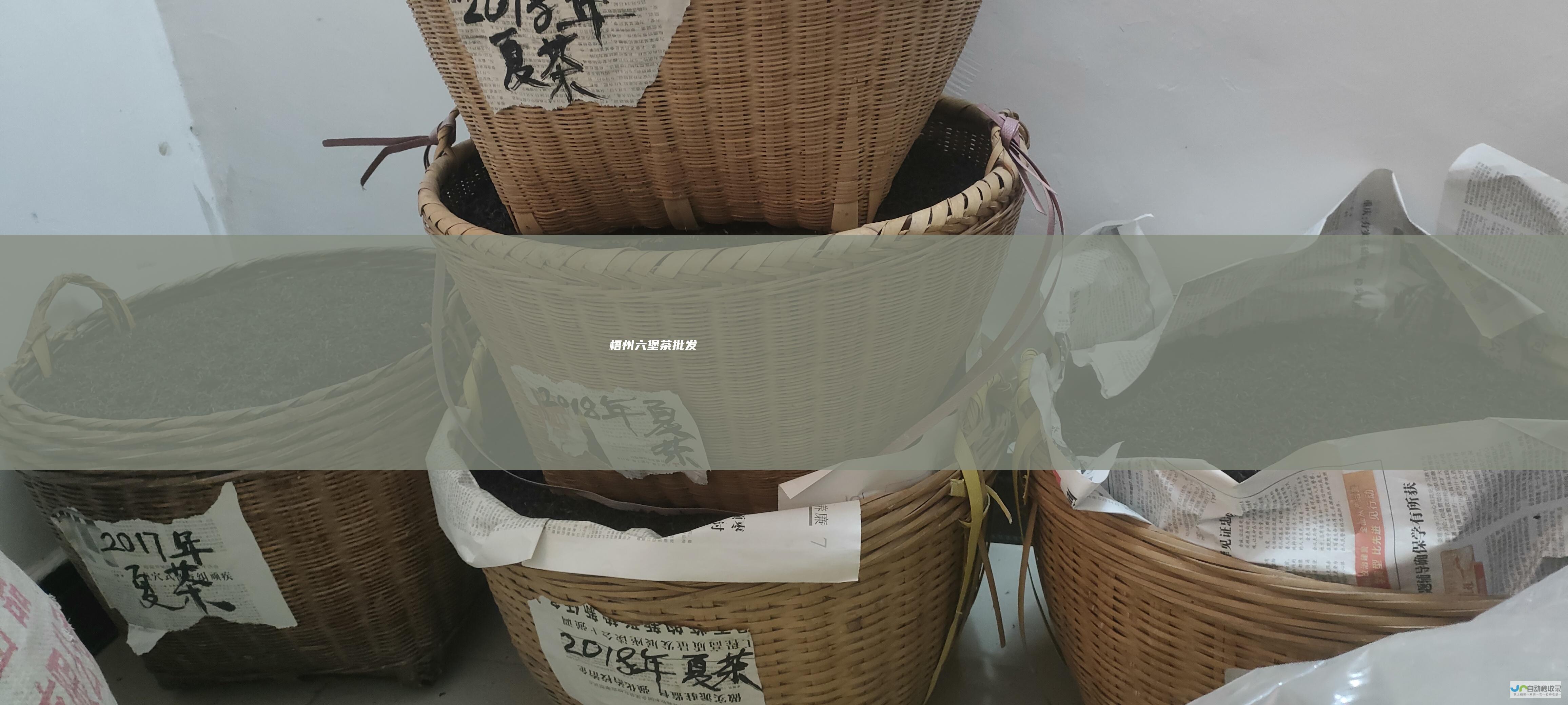 梧州六堡茶批发