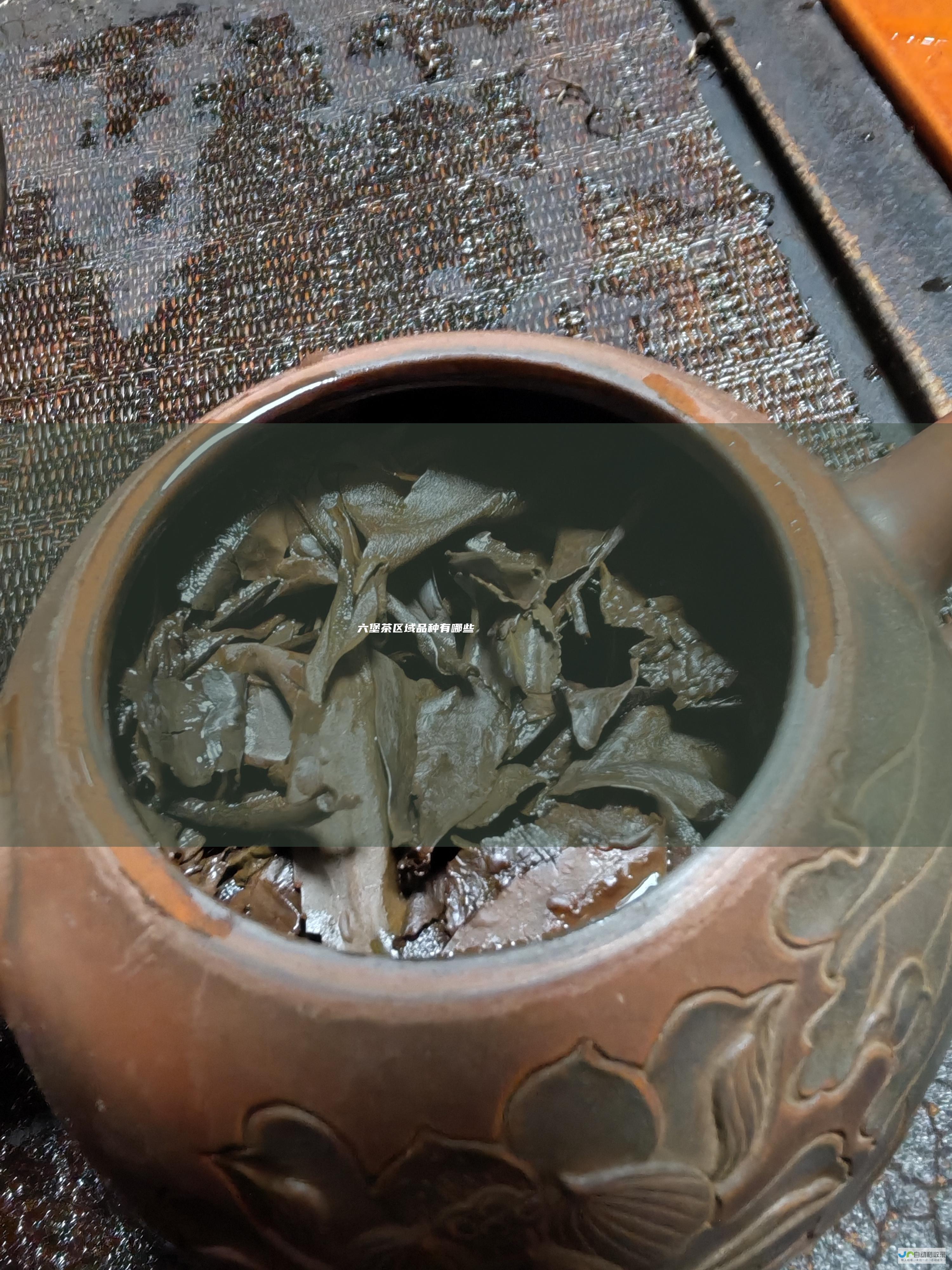 六堡茶区域品种有哪些