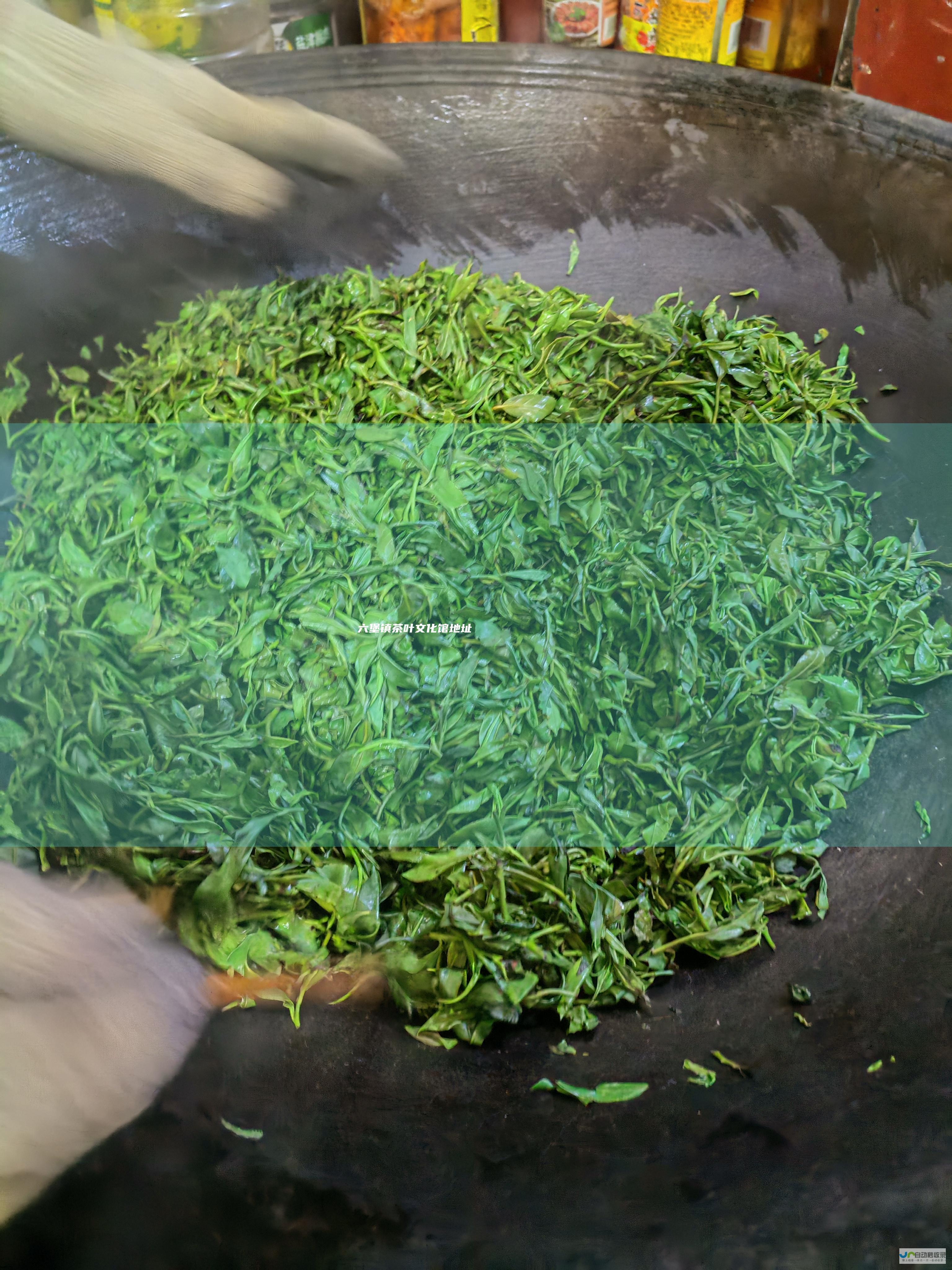 六堡镇茶叶文化馆地址