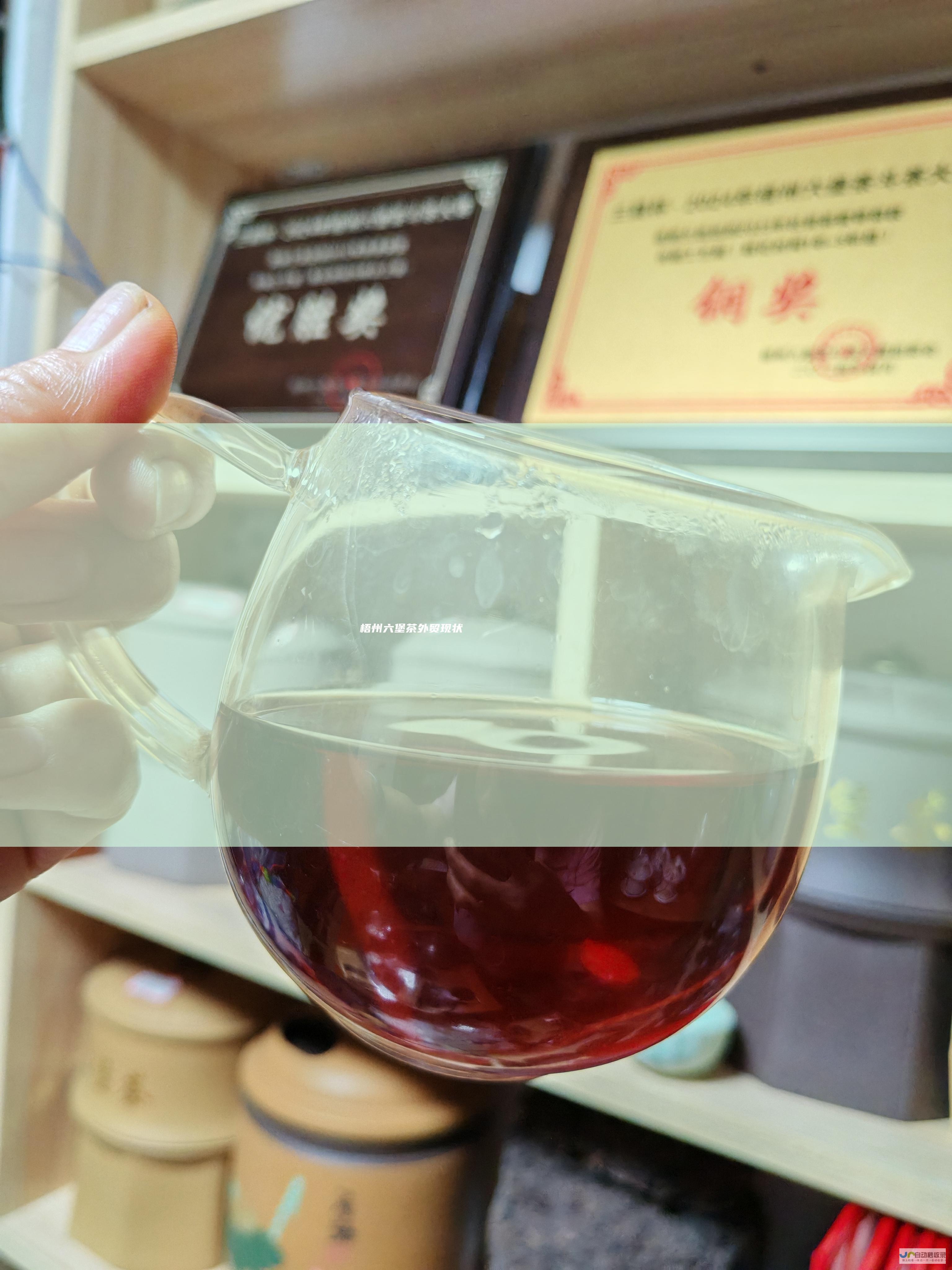 梧州六堡茶外贸现状