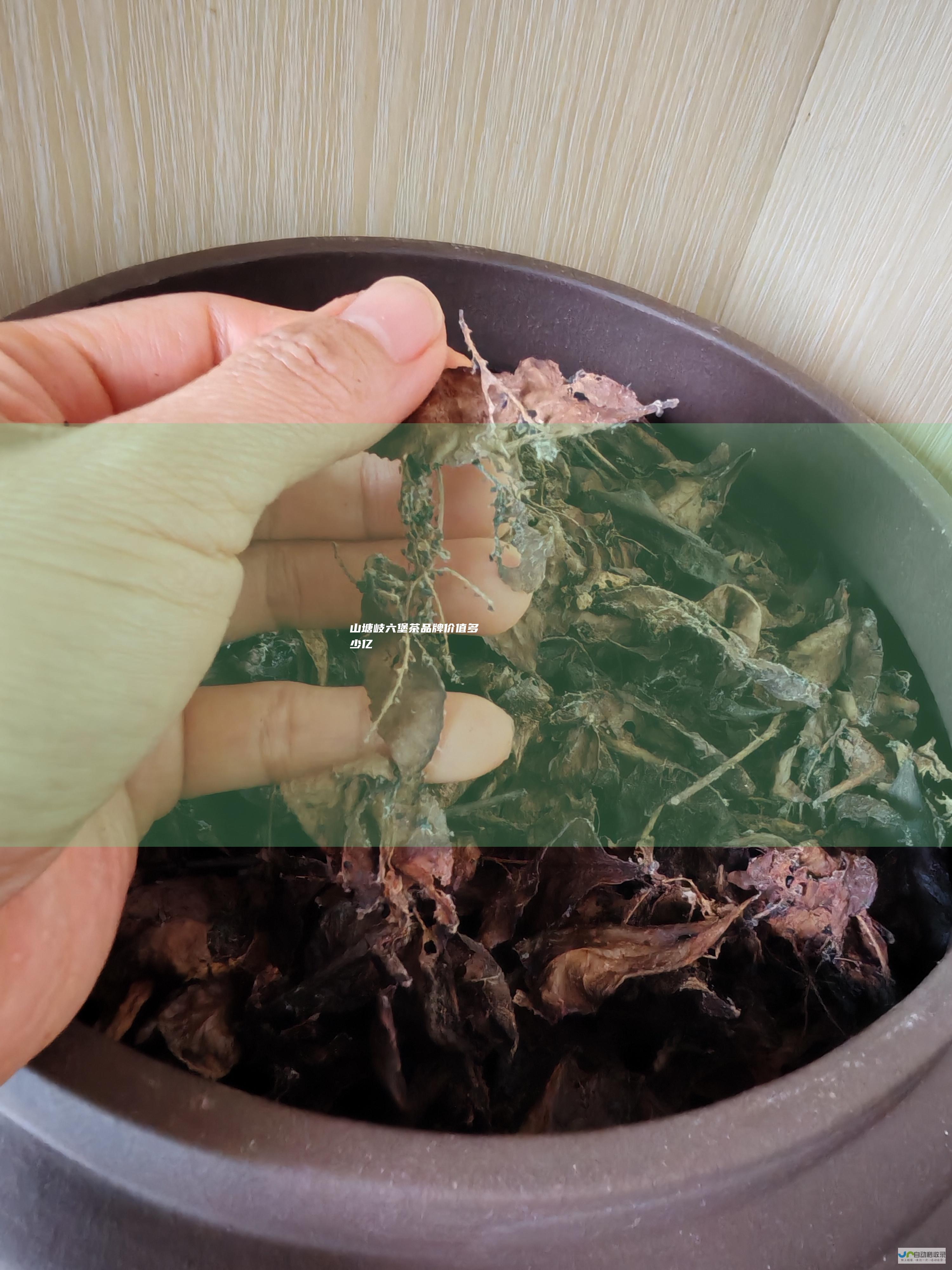 山塘岐六堡茶品牌价值多少亿
