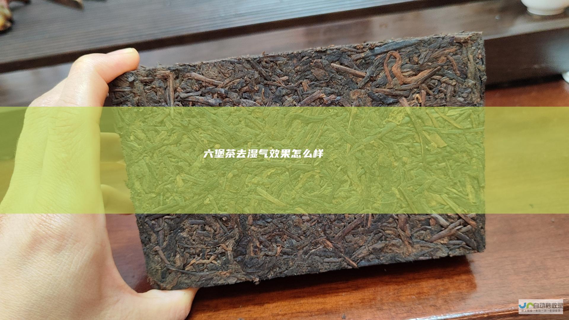 六堡茶去湿气效果怎么样