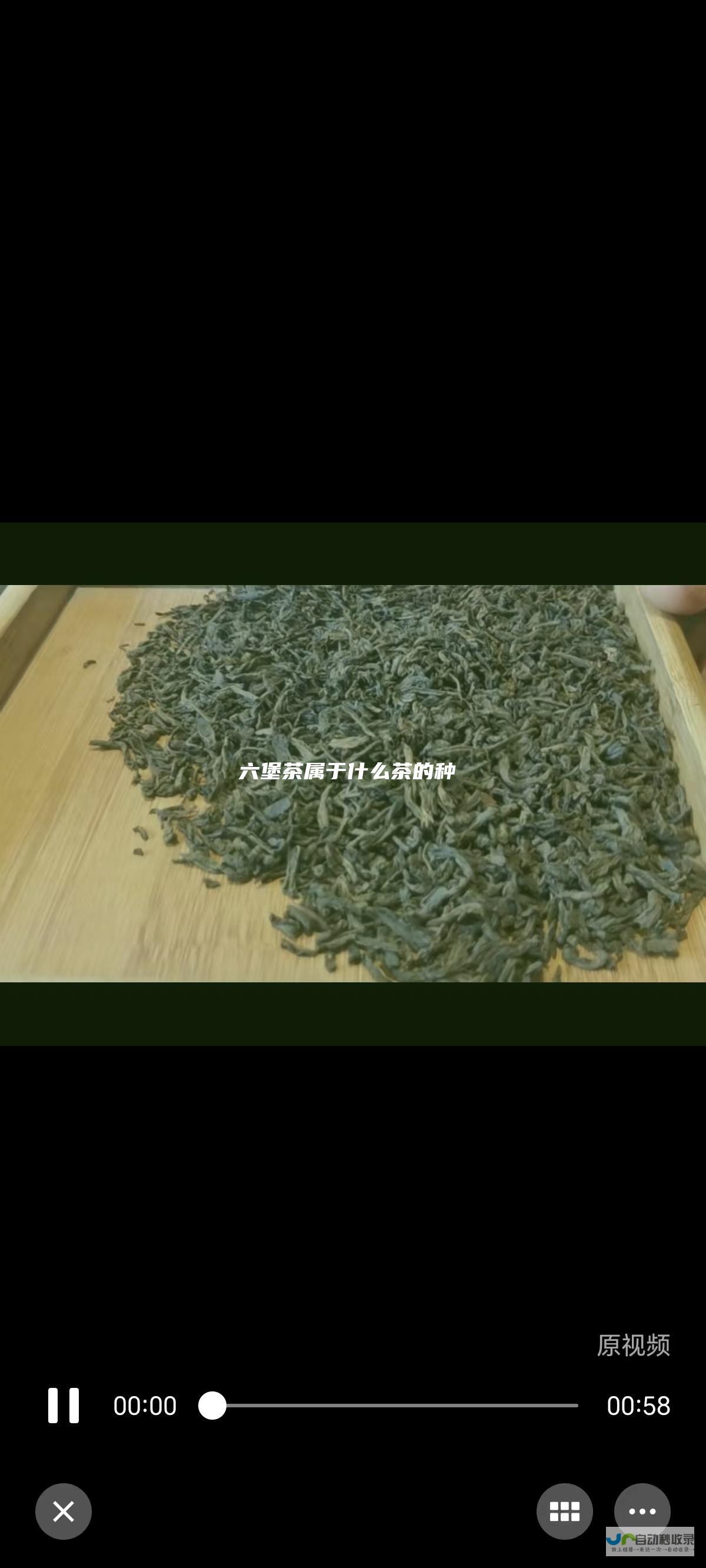 六堡茶属于什么茶的种