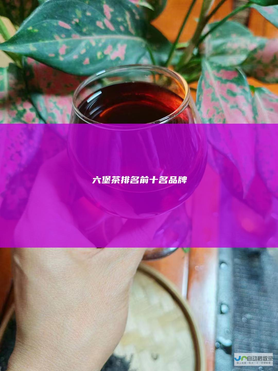 六堡茶排名前十名品牌