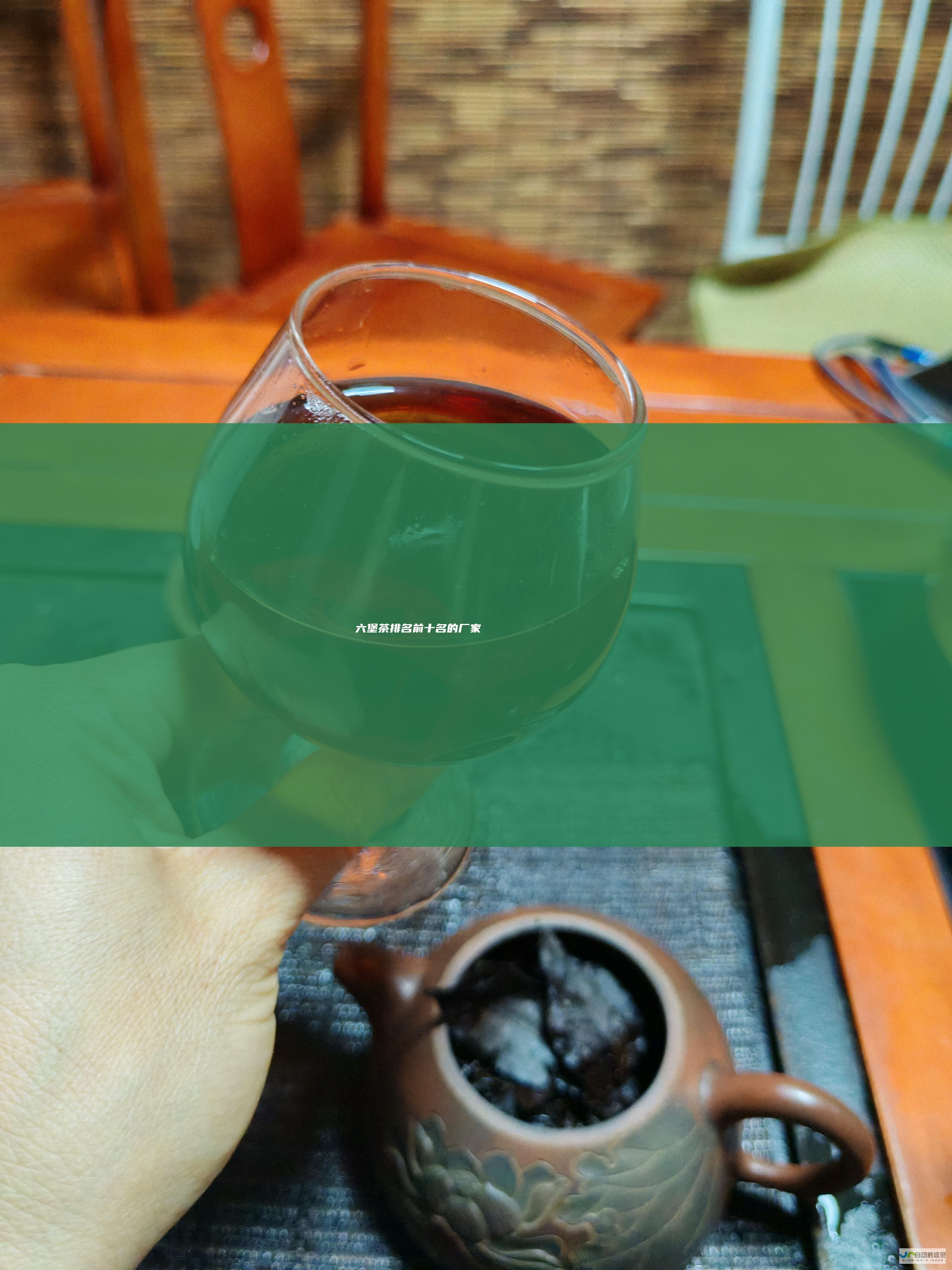 六堡茶排名前十名的厂家