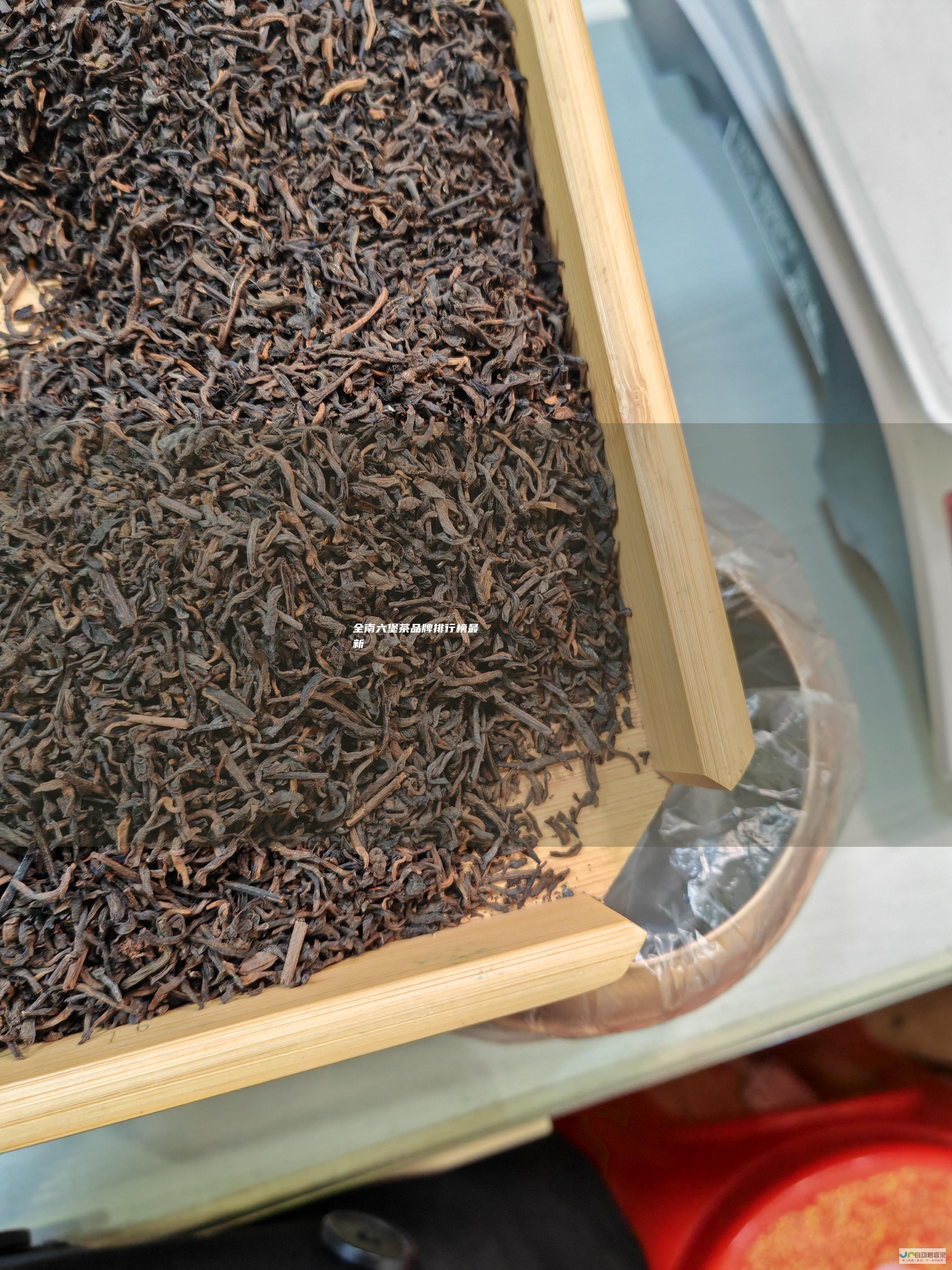 全南六堡茶品牌排行榜最新