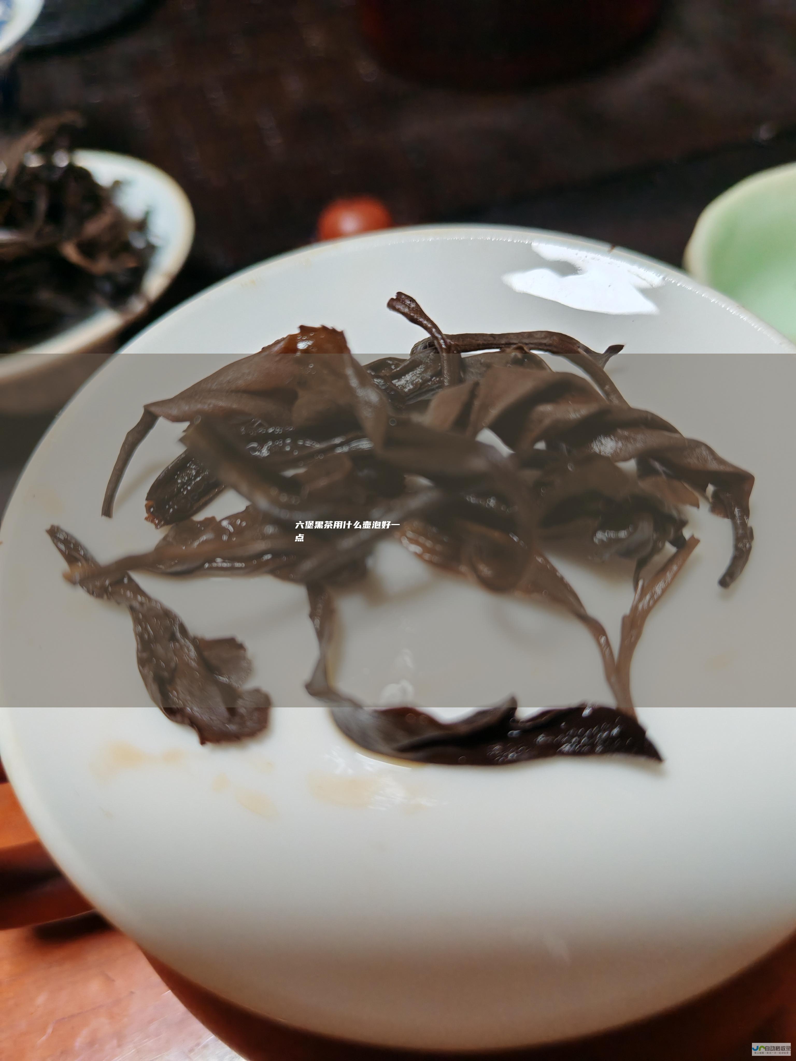 六堡黑茶用什么壶泡好一点