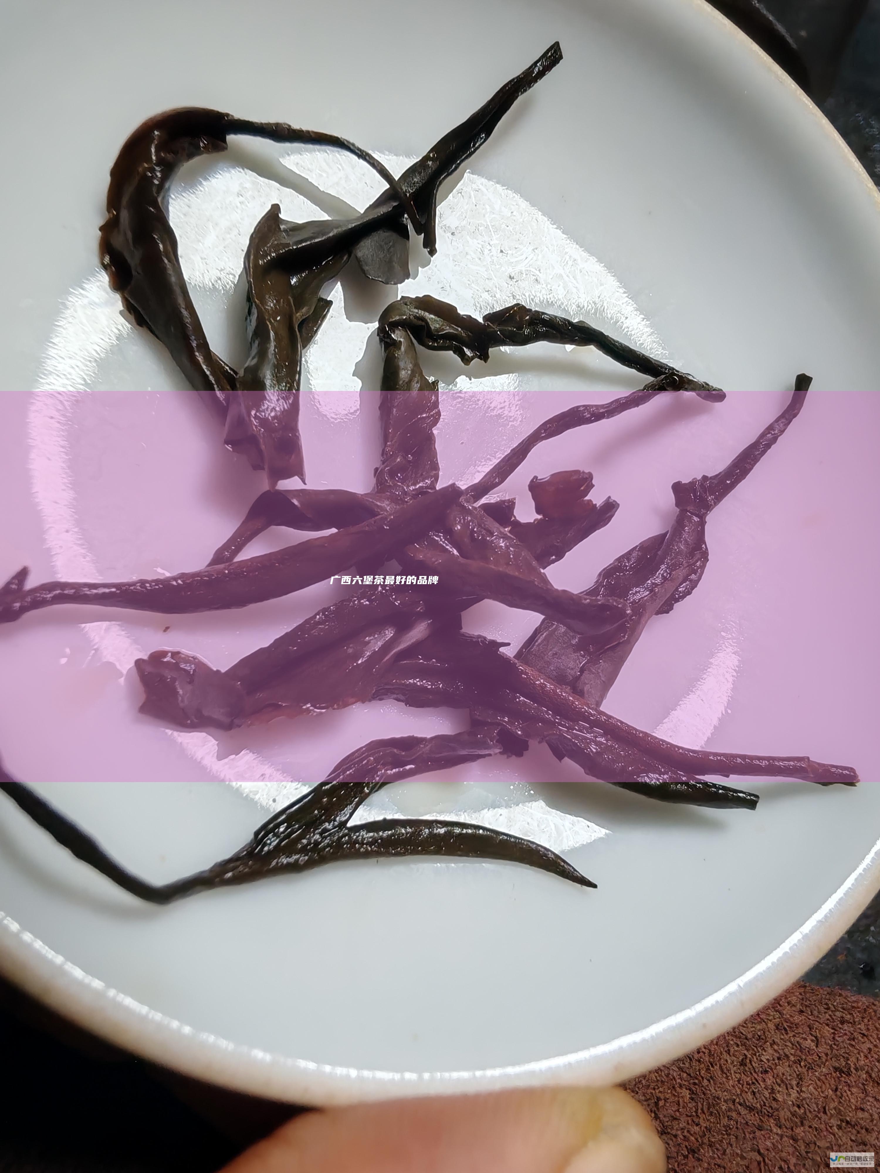 广西六堡茶最好的品牌