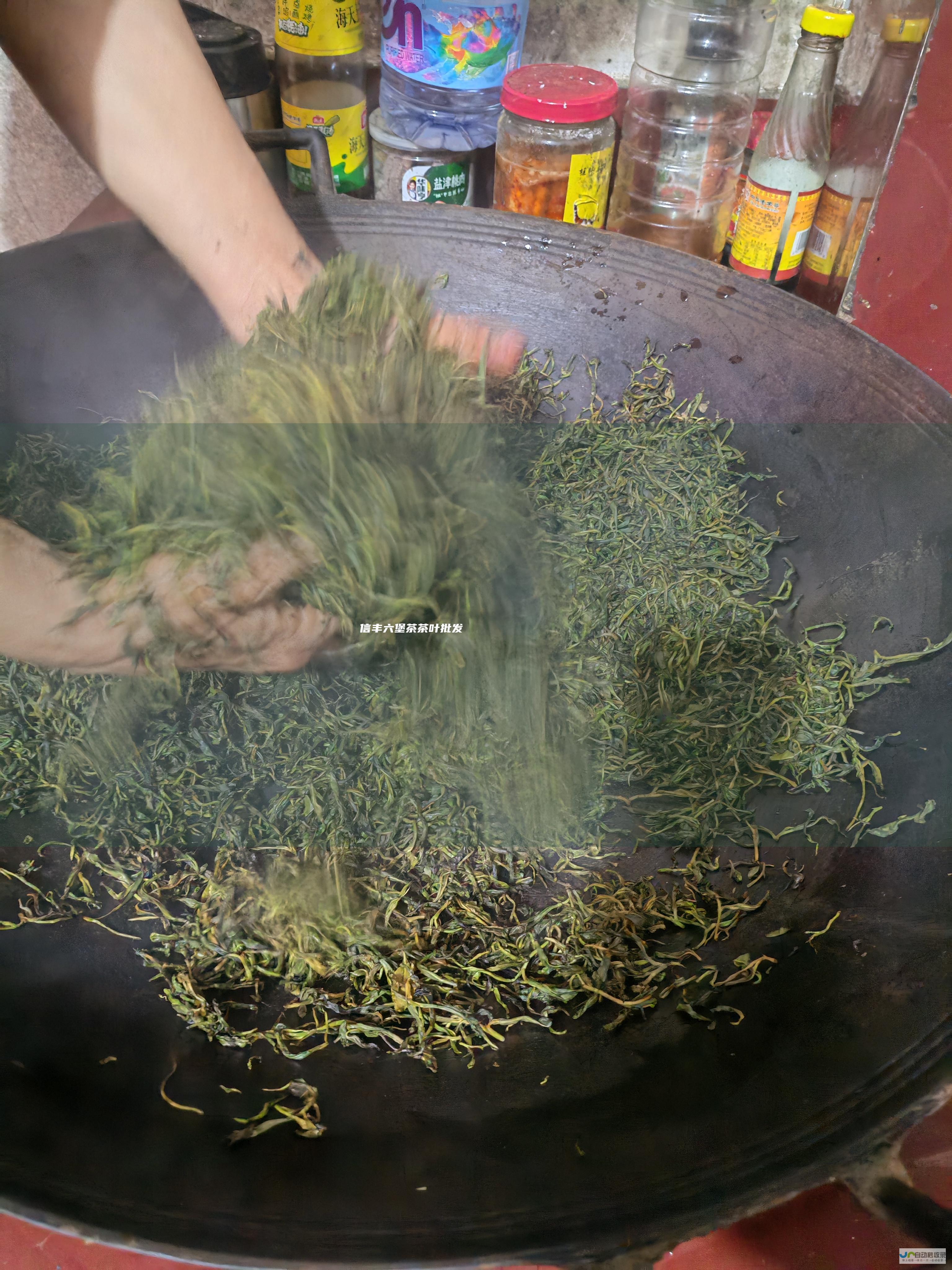 信丰六堡茶茶叶批发