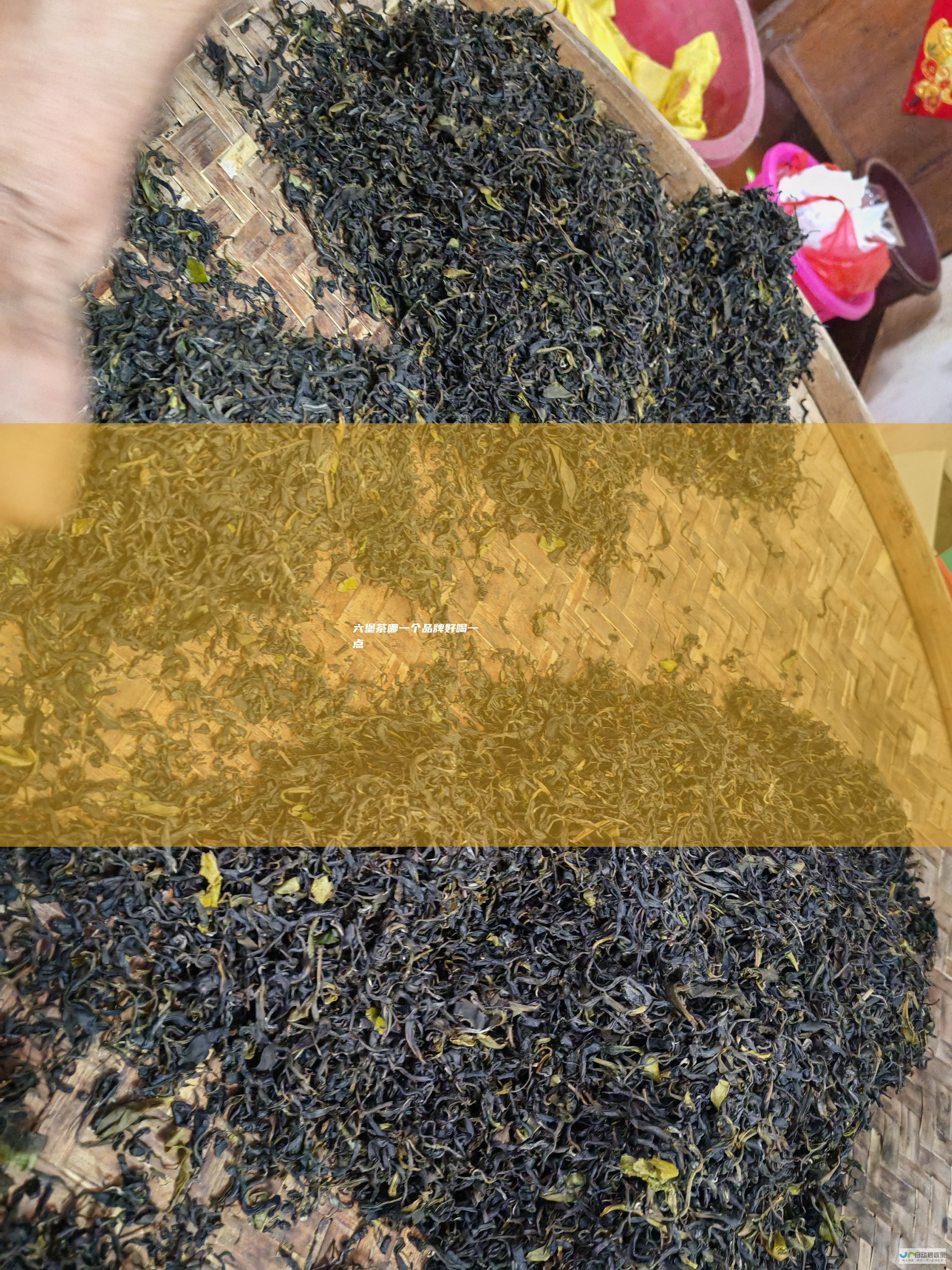 六堡茶哪一个品牌好喝一点