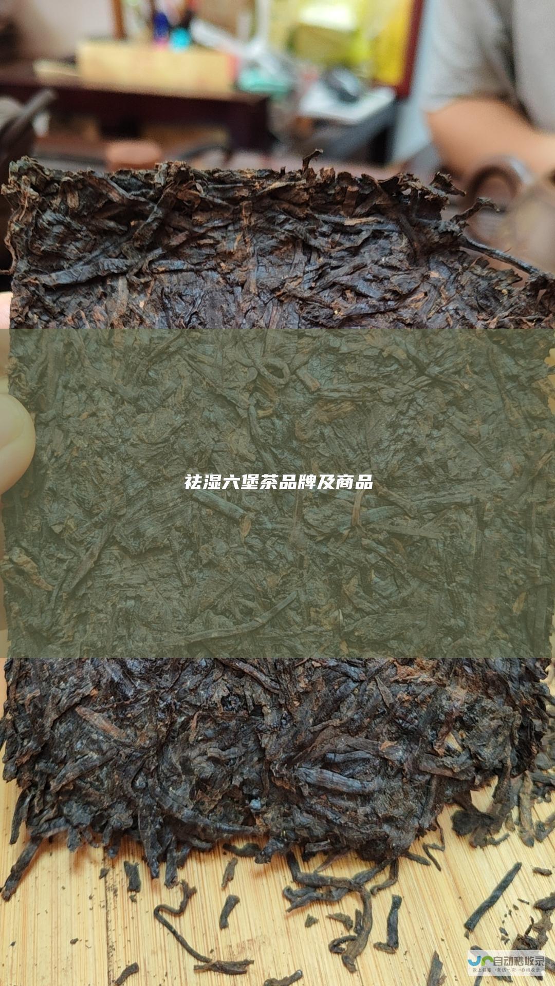 祛湿六堡茶品牌及商品