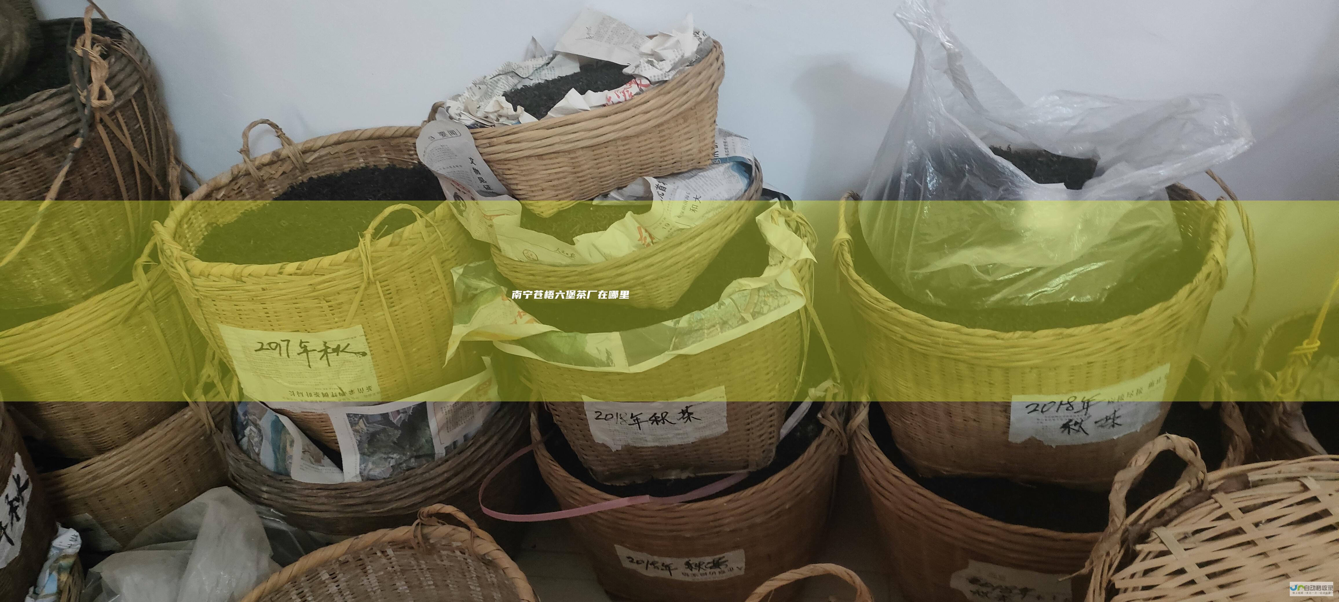南宁苍梧六堡茶厂在哪里