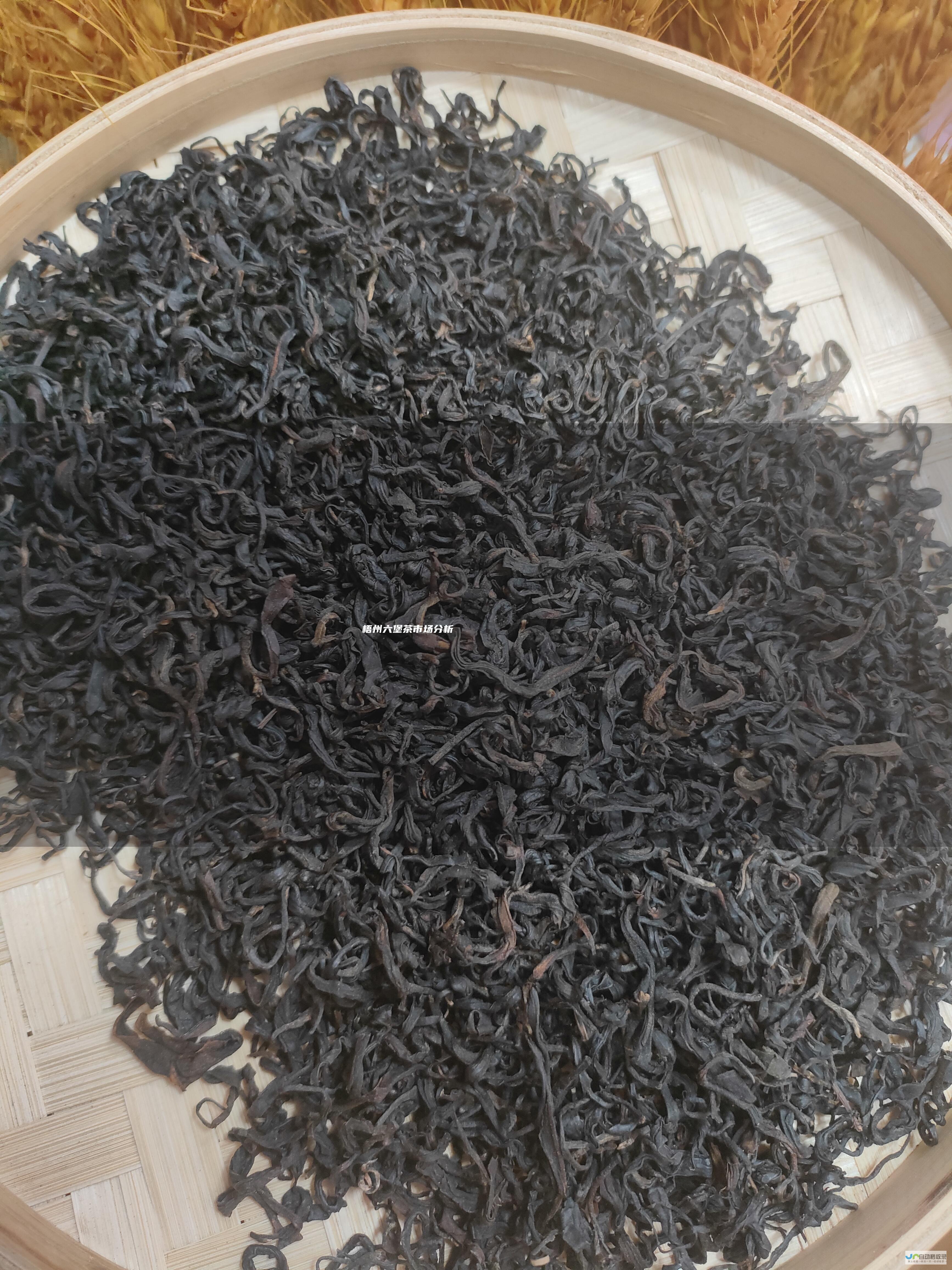 梧州六堡茶市场分析